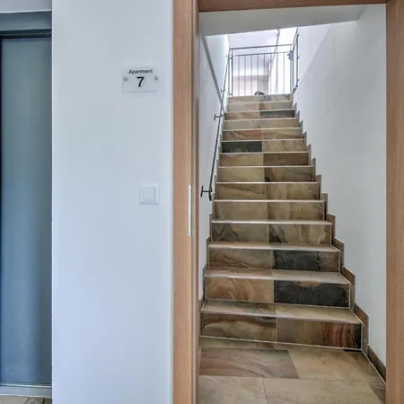 Brunner Near The Markbachjoch Cable Car