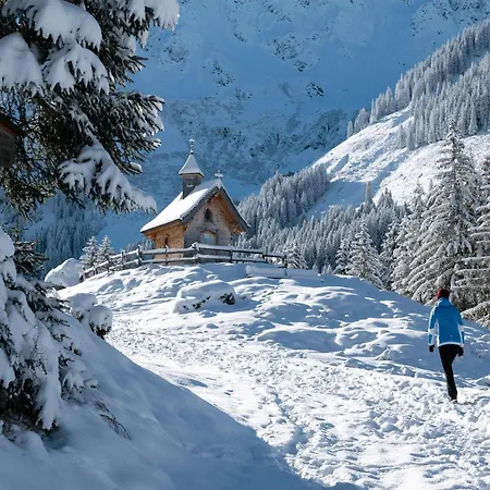 Brunner Near The Markbachjoch Cable Car * Niederau