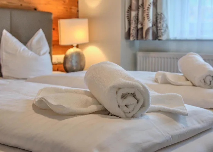 Wildschoenau Ski-In Brunner Apartment نيديراو