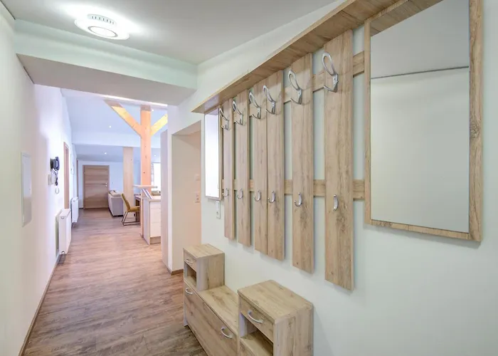 Wildschoenau Ski-In Brunner Apartment